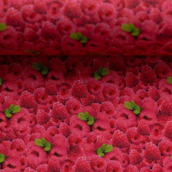 Baumwolle Druck Swafing Yummy Food Himbeeren